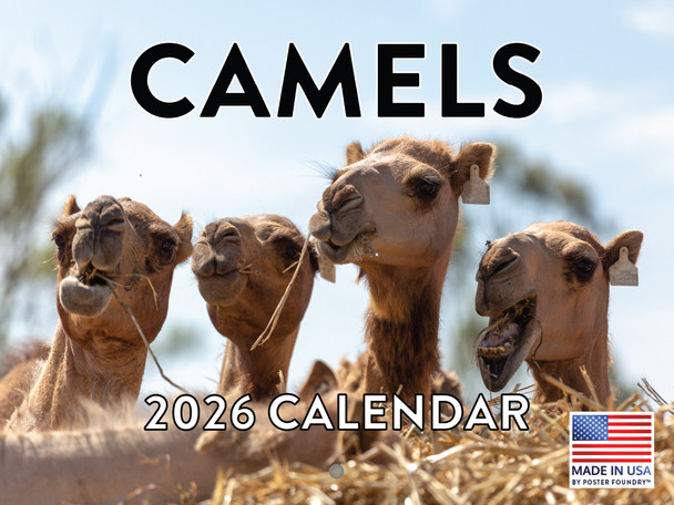 Camel Calendar 2026 Monthly Wall Calender 12 Month | American Made In The USA