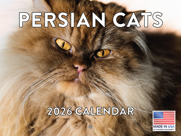 Persian Cat Calendar 2026 Monthly Wall Calender 12 Month | American Made In The USA