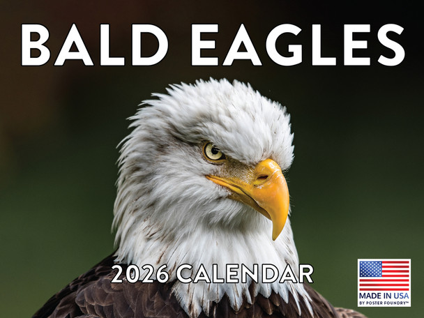 Bald Eagle Calendar 2026 Wall Monthly Bald Eagles Gifts For Bald Eagle Lovers Women Men  | American Made In The USA