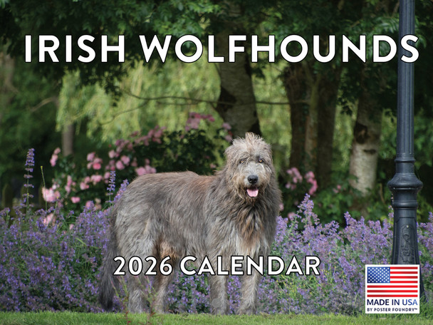 Irish Wolfhound Calendar 2026 Monthly Wall Calender 12 Month | American Made In The USA