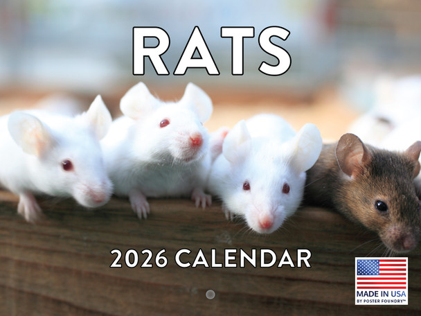 Rat Calendar 2026 Monthly Wall Calender 12 Month | American Made In The USA