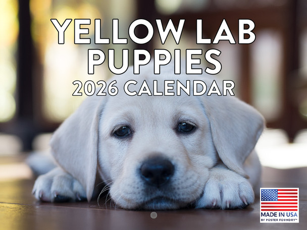 Yellow Lab Puppy Calendar 2026 Monthly Wall Calender 12 Month | American Made In The USA