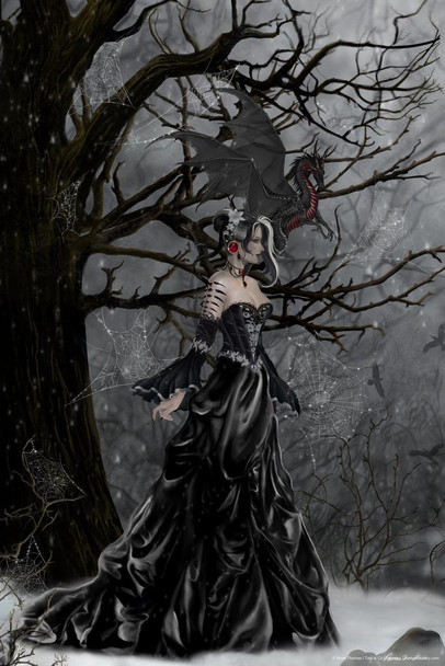 HOLD - Queen of Shadows by Nene Thomas Art Print Poster 24x36 inch