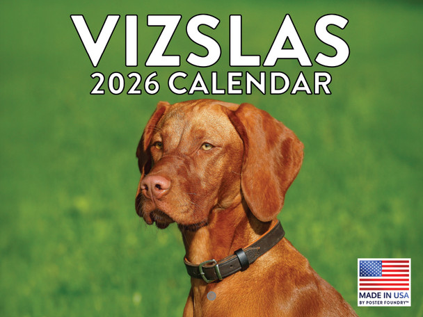 Vizsla Calendar 2026 Viszla Monthly Wall Calander 12 Month | American Made In The USA