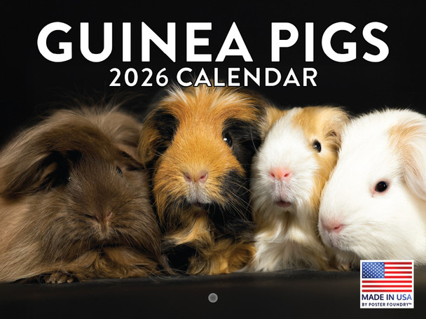 Guinea Pig Calendar 2026 Monthly Wall Calender 12 Month | American Made In The USA