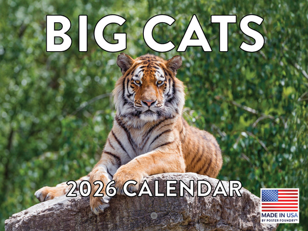 Wild Big Cats Calendar 2026 Wildlife Monthly Wall Calender 12 Month | American Made In The USA