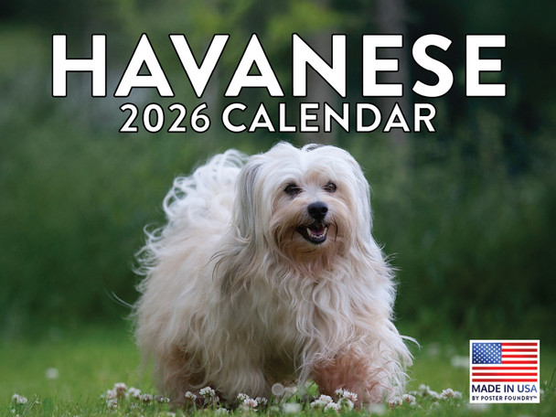 Havanese Calendar 2026 Monthly Wall Calender 12 Month | American Made In The USA