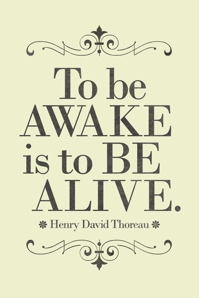 Henry David Thoreau To Be Awake Is To Be Alive Yellow Cool Wall Art Print Poster 12x18