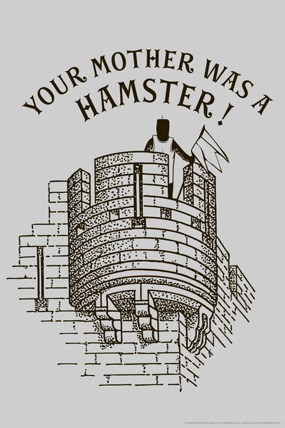 Your Mother Was A Hamster! Humor Cool Wall Art Print Poster 16x24