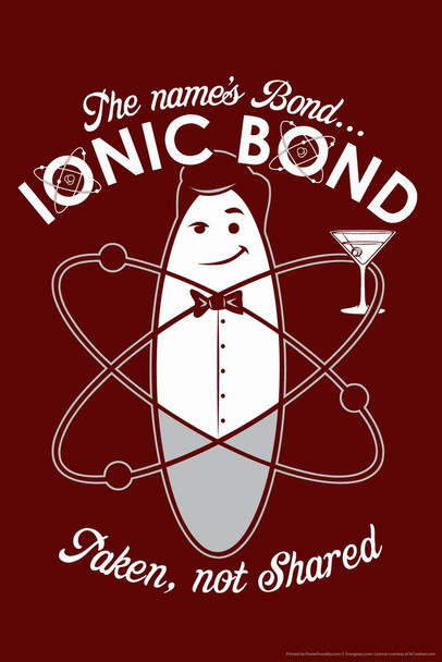 The Names Bond...Ionic Bond Taken Not Shared Science Funny Cool Wall Art Print Poster 16x24