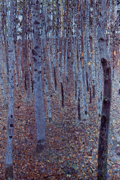 Gustav Klimt Beech Forest I Austrian Symbolist Painter Painting Cool Wall Art Print Poster 16x24