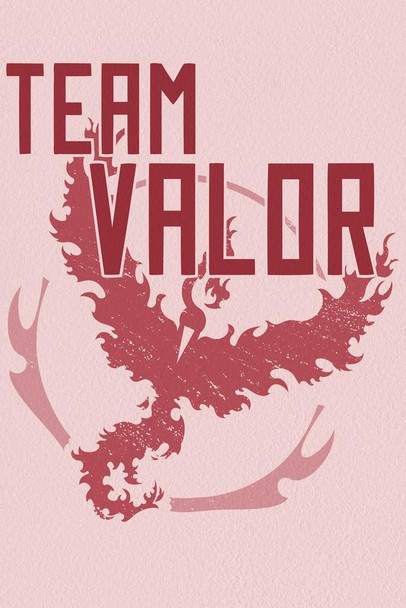 Laminated Team Valor Red Video Game Gaming Poster 12x18