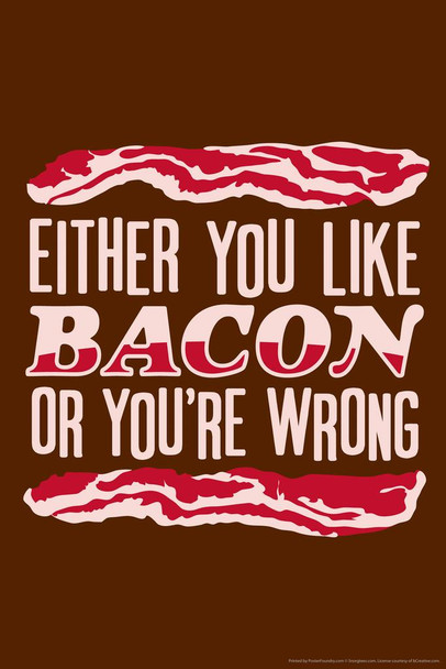 Either You Like Bacon Or Youre Wrong Humor Cool Wall Art Print Poster 24x36