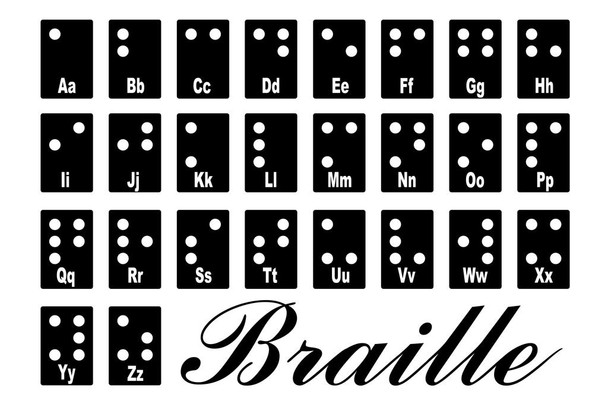 Laminated Braille Tactile Writing System Reference Chart Poster Dry Erase Wall Art 24x16