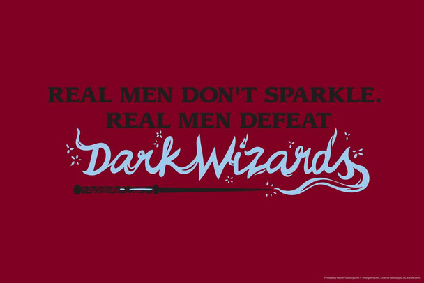 Real Men Dont Sparkle Real Men Defeat Dark Wizards Humor Cool Wall Art Print Poster 36x24