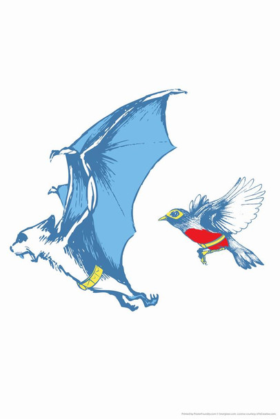 Bat and Robin Animal Superheros Humor Cool Wall Art Print Poster 24x36