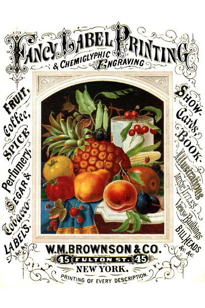 Laminated Fancy Label Printing Fruit Vegetable New York Vintage Illustration TravelPoster Dry Erase Wall Art 16x24