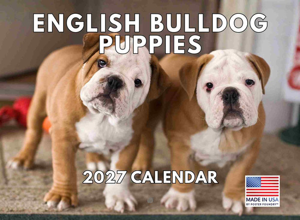 Bulldog Puppy Calendar 2027 Monthly Wall Calender 12 Month