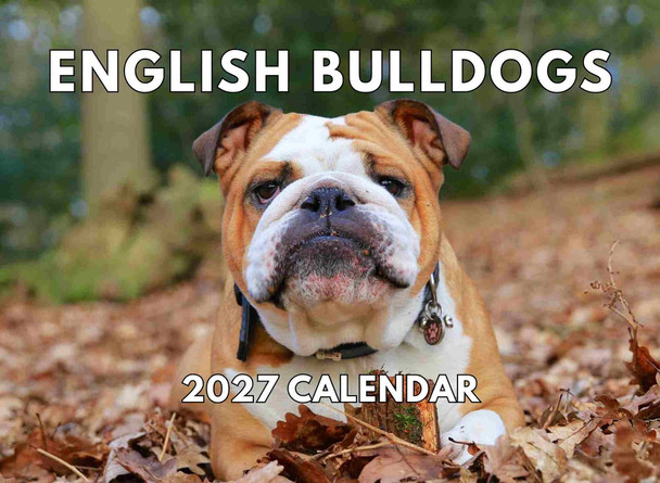 English Bulldog Calendar 2027 Bull Dog Monthly Wall Calender 12 Month