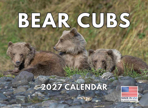 Baby Bear Cubs Calendar 2027 Monthly Wall Calender 12 Month