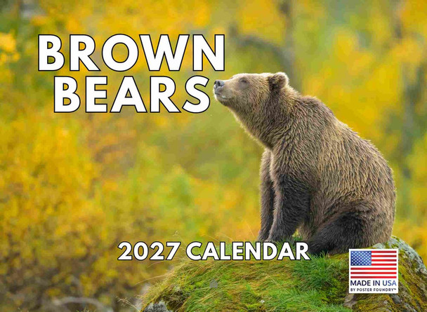 Brown Bear Calendar 2027 Bears Monthly Wall Calender 12 Month