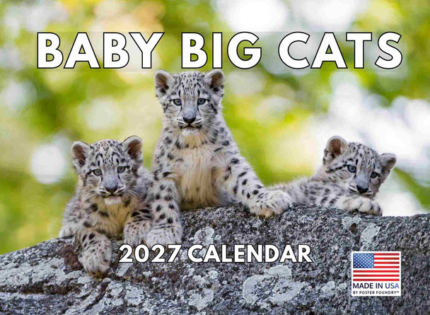 Baby Big Cat Calendar 2027 Cubs Monthly Wall Calender 12 Month