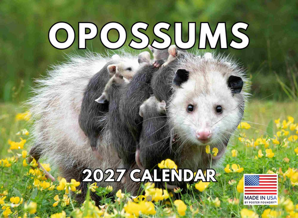 Opossum Calendar 2027 Wall 12 Month Opossums Gifts For Opossum Lovers Women Men Monthly Calender| American Made In The USA