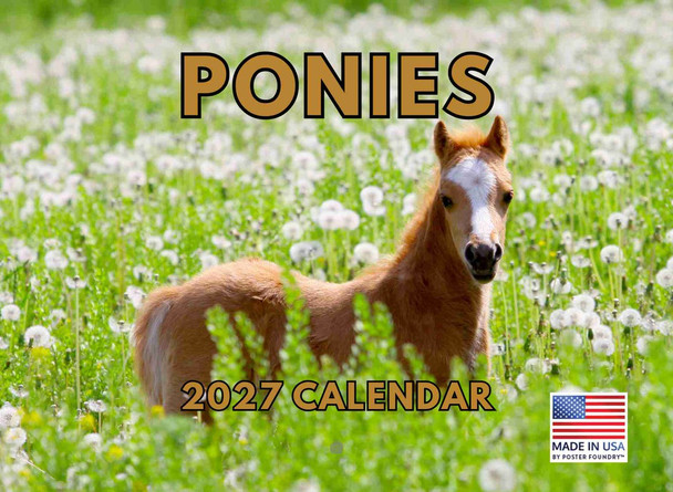 Pony Calendar 2027 Ponies Monthly Wall