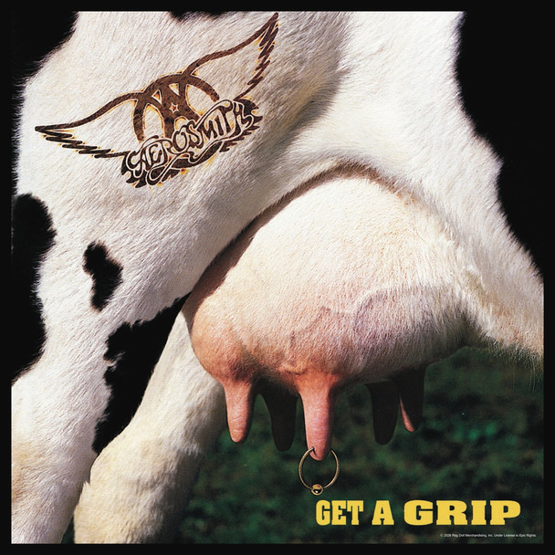 Aerosmith Get a Grip Album Cover Poster 12x12