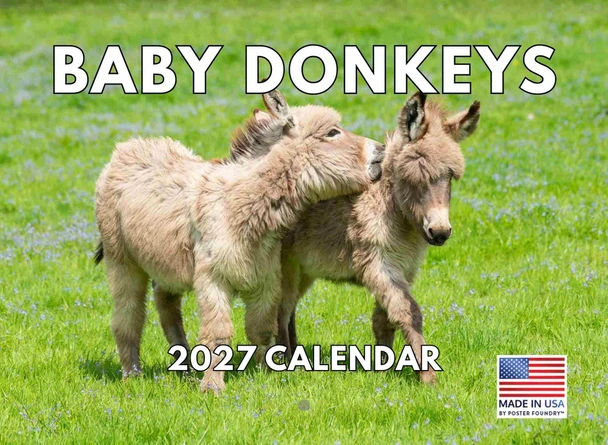 Baby Donkey Calendar 2027 Cute Adorable Monthly Wall 12 Month | American Made In The USA