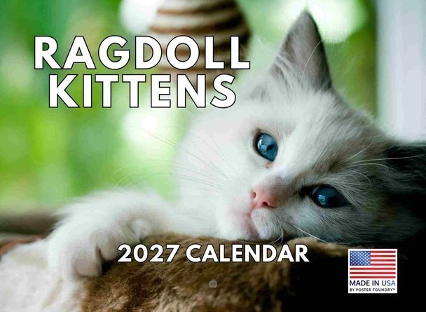 Ragdoll Calendar 2027 Kitten Monthly Wall Calender 12 Month