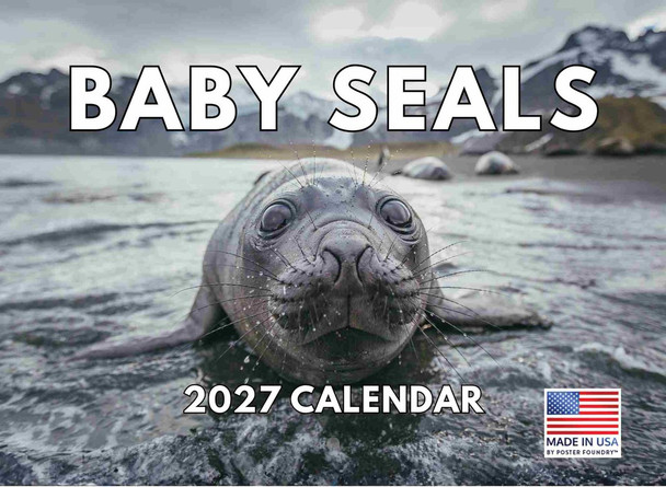 Baby Seal Calendar 2027 Cute Gifts For Seals Lovers Fluffy Harp Pups
