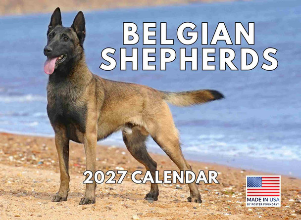 Belgian Shepherd Calendar 2027 Monthly Wall