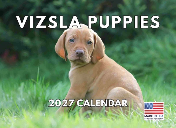 Vizsla Calendar 2027 Puppies Monthly Wall Calender 12 Month