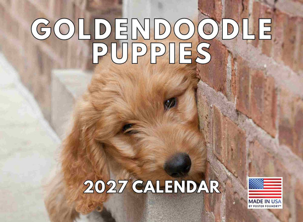 Goldendoodle Puppy Calendar 2027  Golden Doodle Monthly Wall Calender 12 Month