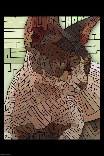 Curtis Epperson Sphynx Cat Word Mosaic Art Hand Drawn Cool Wall Art Print Poster 12x18