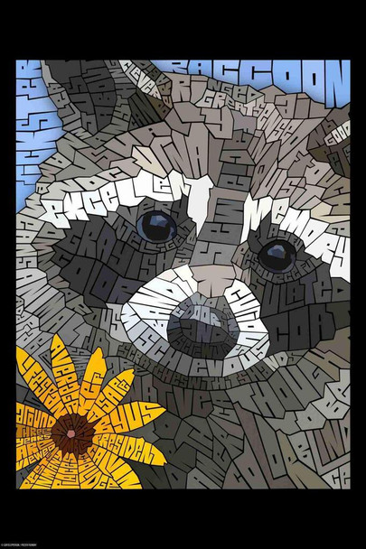 Curtis Epperson Raccoon Word Mosaic Art Hand Drawn Cool Wall Art Print Poster 16x24