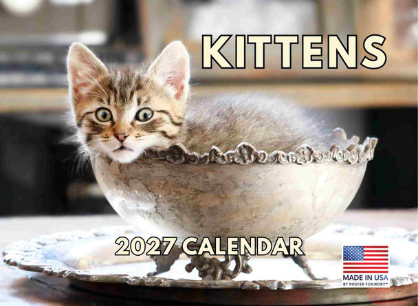 Kitten Calendar 2027 Cat Kitty Gifts Monthly Wall Calender 12 Month