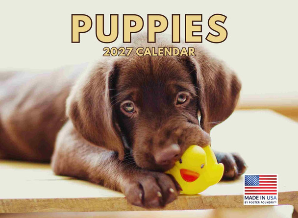 Puppy Calendar 2027 Puppies Monthly Wall Calender 12 Month