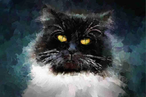 Laminated Serious Black Cat Oil Painting Portrait Moody Feline Art Poster Dry Erase Wall Art 12x18
