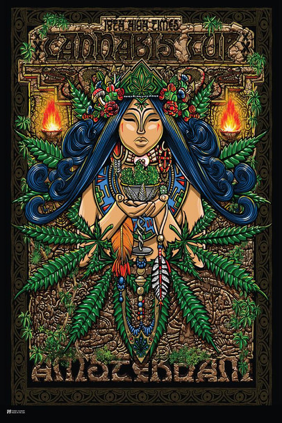 Laminated High Times Cannabis Cup Amsterdam Poster Dry Erase Wall Art 24x36
