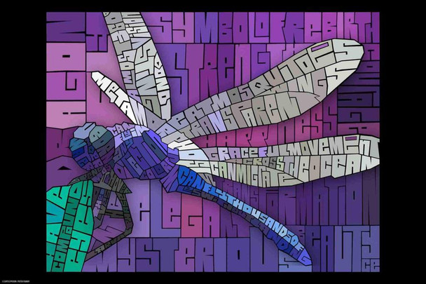Laminated Curtis Epperson Dragon Fly Word Mosaic Art Hand Drawn Poster Dry Erase Wall Art 24x36
