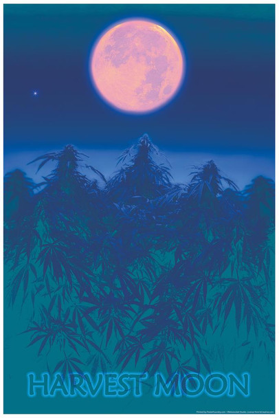 Laminated Harvest Moon Marijuana College Print Poster 24x36