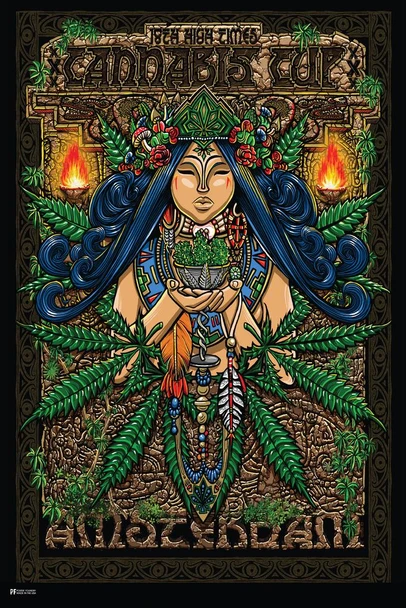 Laminated High Times Cannabis Cup Amsterdam Poster Dry Erase Wall Art 16x24