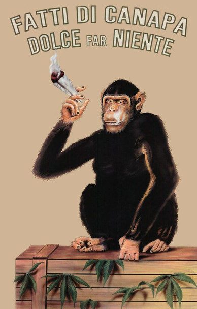 Laminated Fatti Di Canapa Dolce Far Niente Smoking Monkey Parody Marijuana Poster Dry Erase Wall Art 16x24