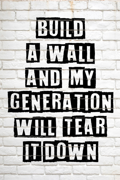 Build A Wall and My Generation Will Tear It Down Graffiti Cool Wall Art Print Poster 12x18