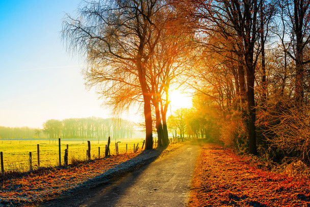 Autumn Fall Decor Farm Fields Country Road Sunset Landscape Photo Photograph Cool Wall Art Print Poster 12x18