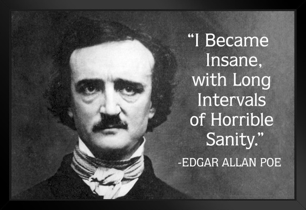 I Became Insane Edgar Allan Poe Famous Motivational Inspirational Quote Black Wood Framed Poster 20x14