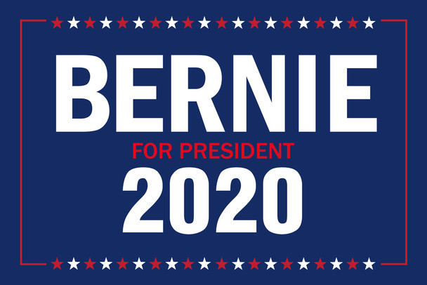 Vote Bernie Sanders For President 2020 Campaign Cool Wall Decor Art Print Poster 18x12