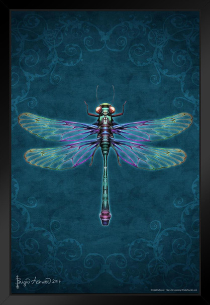 Damask Dragonfly by Brigid Ashwood Insect Wall Art Dragonfly Print Dragonfly Pictures Wall Decor Insect Art Dragonfly Decor Black Wood Framed Art Poster 14x20